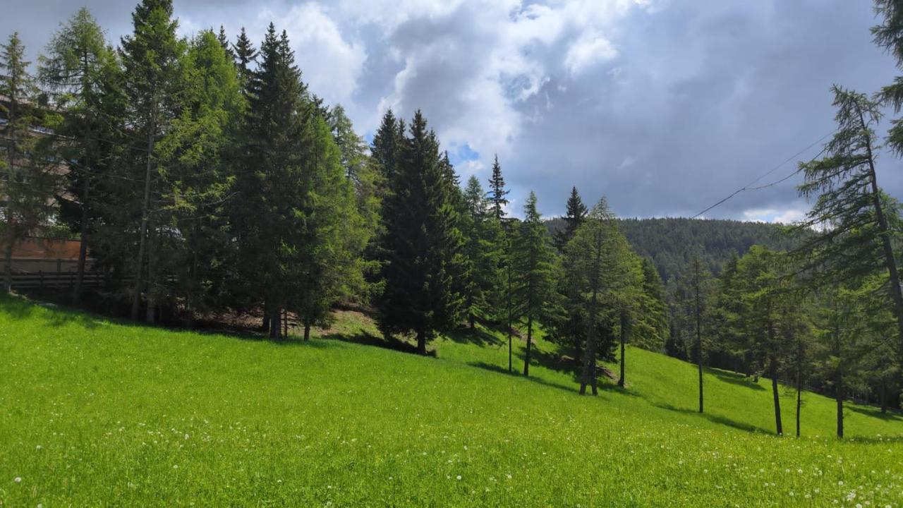 Ferienwohnung Bergerr Hafling Buitenkant foto